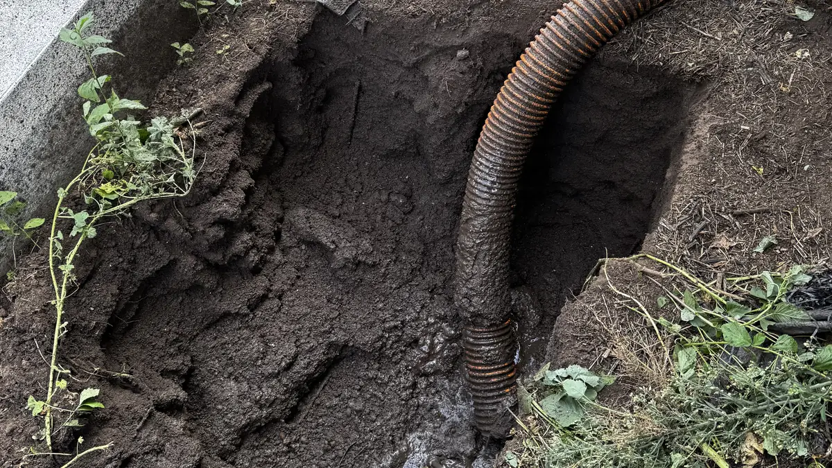 Vacuum hose removing wet soil during non-destructive digging work
