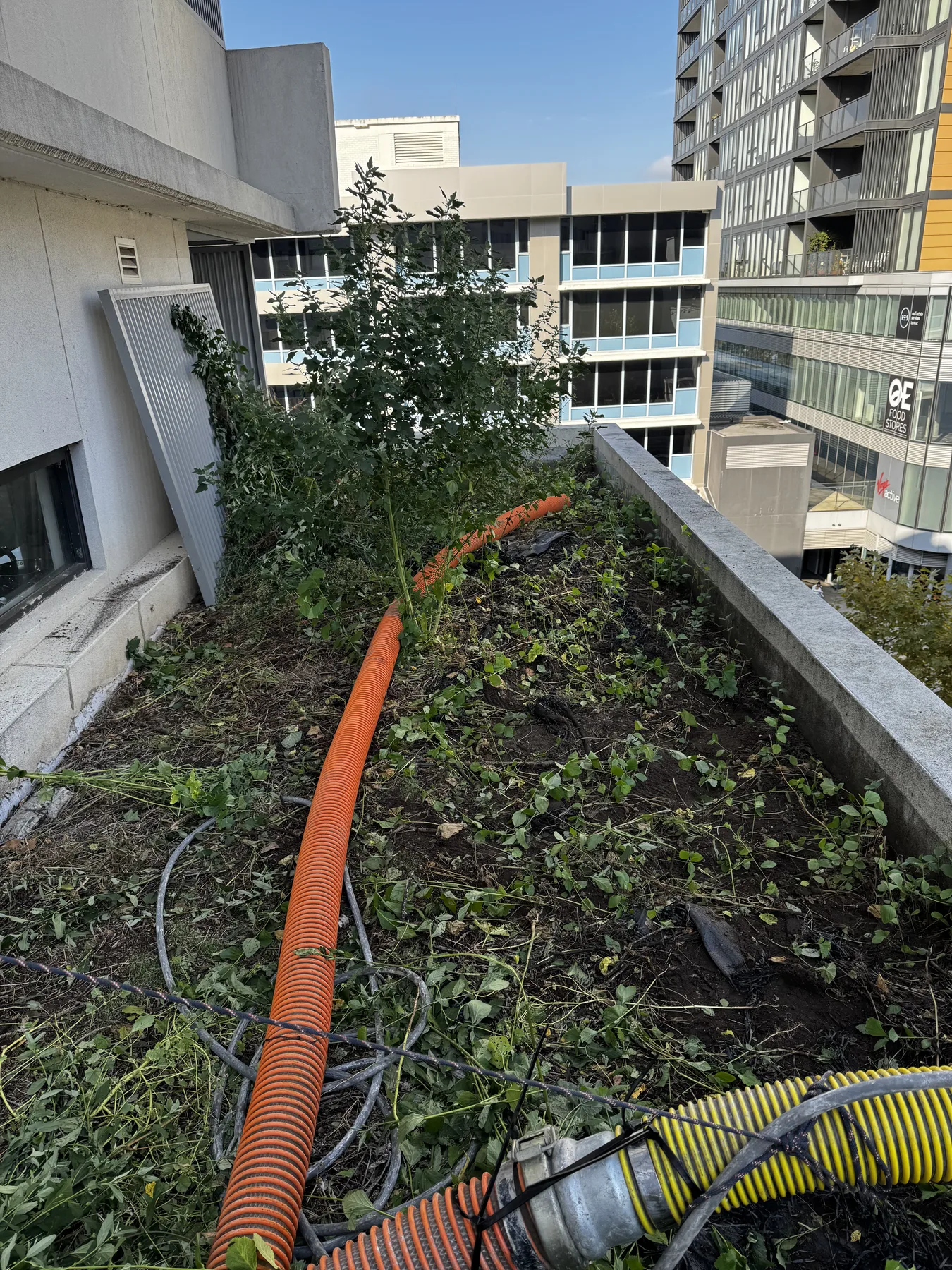 Vac truck hose set up through a high-rise planter box for soil removal in Sydney