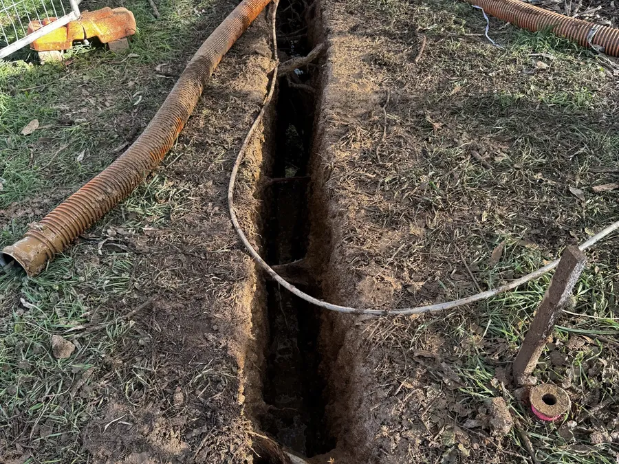 Tree-root trench with a suction hose